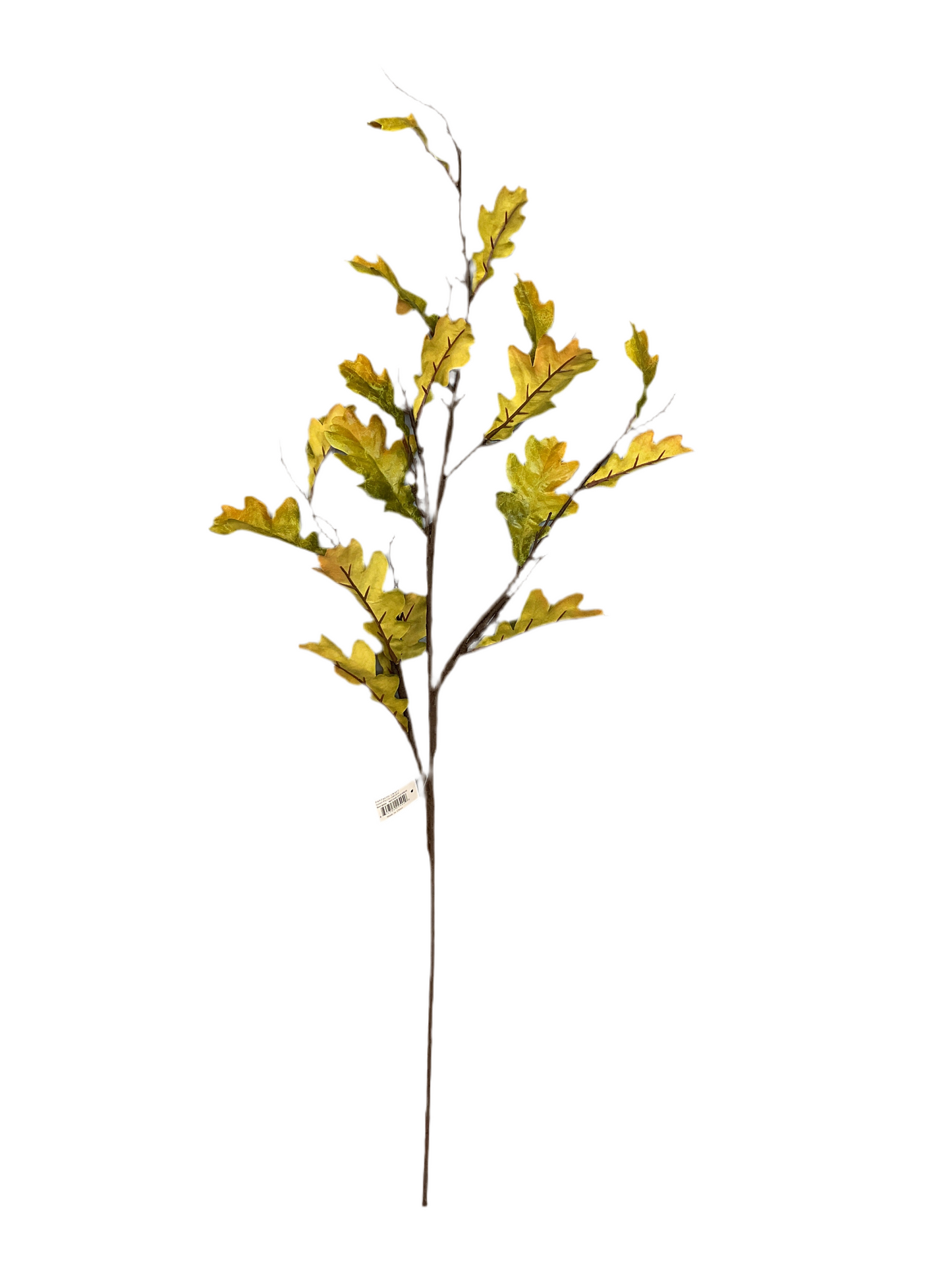 Oak Leaf Green Spray