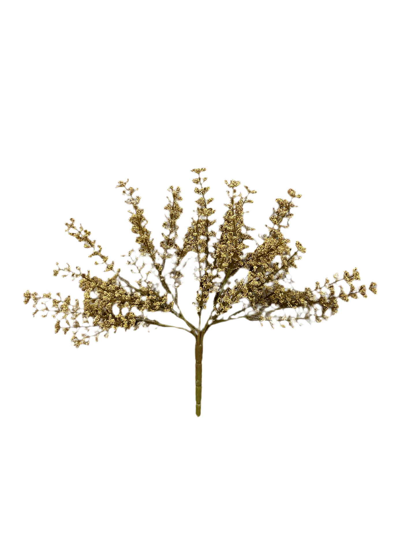 Astilbe Sprig Flax