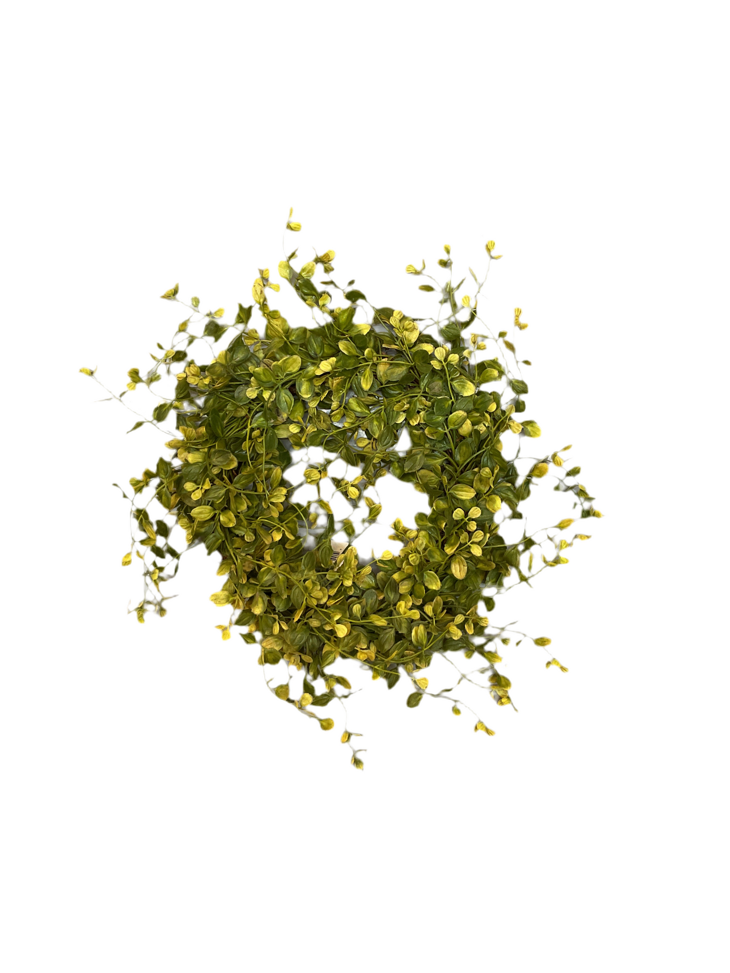 Pimpernel Wreath Fall Green