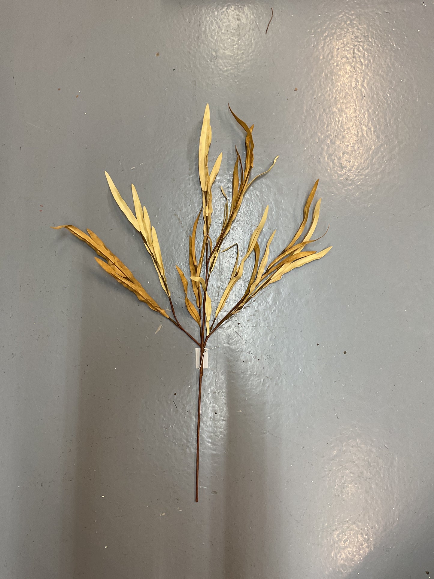 Golden Isles Bush