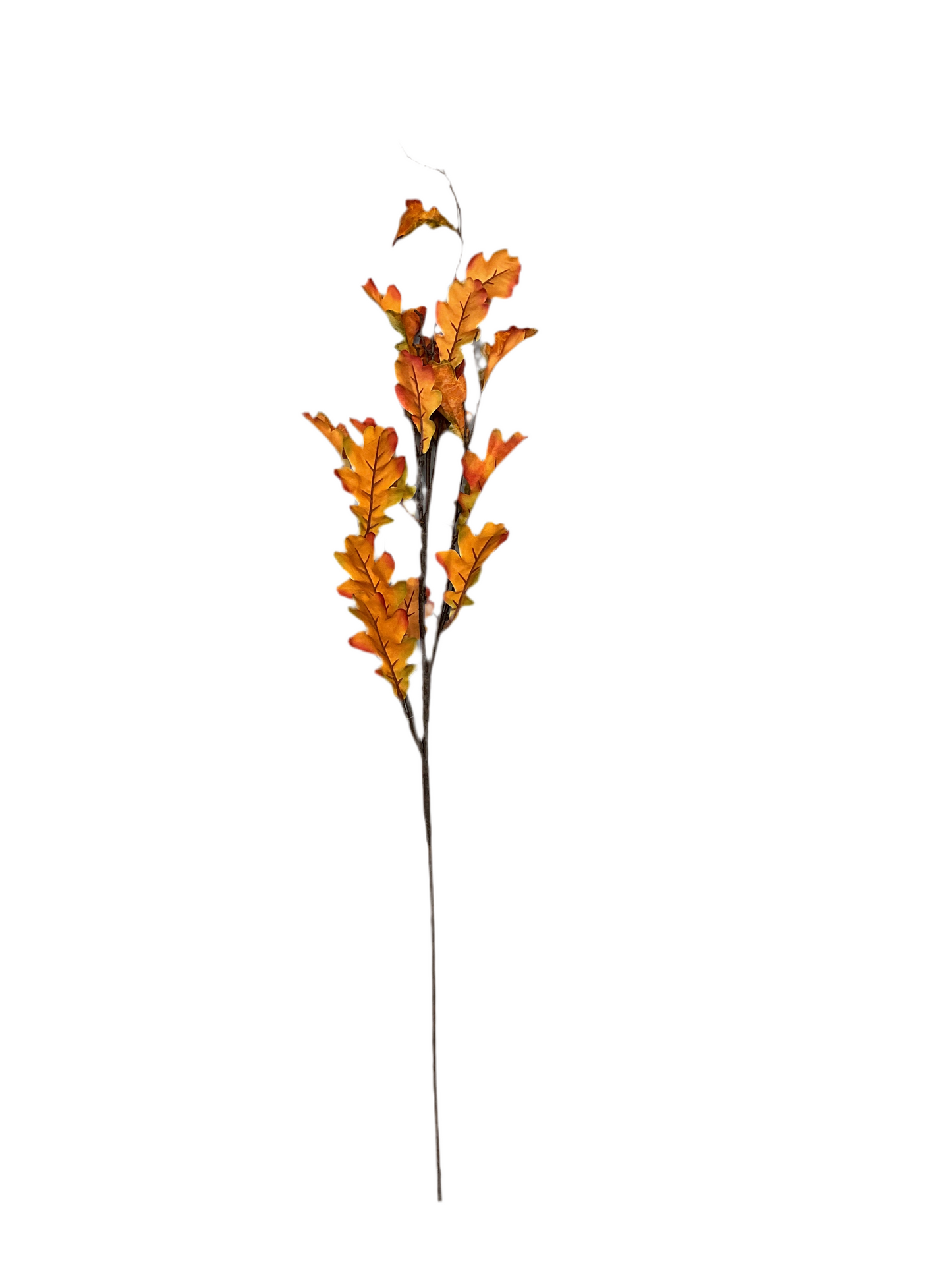 Oak Leaf Orange Spray
