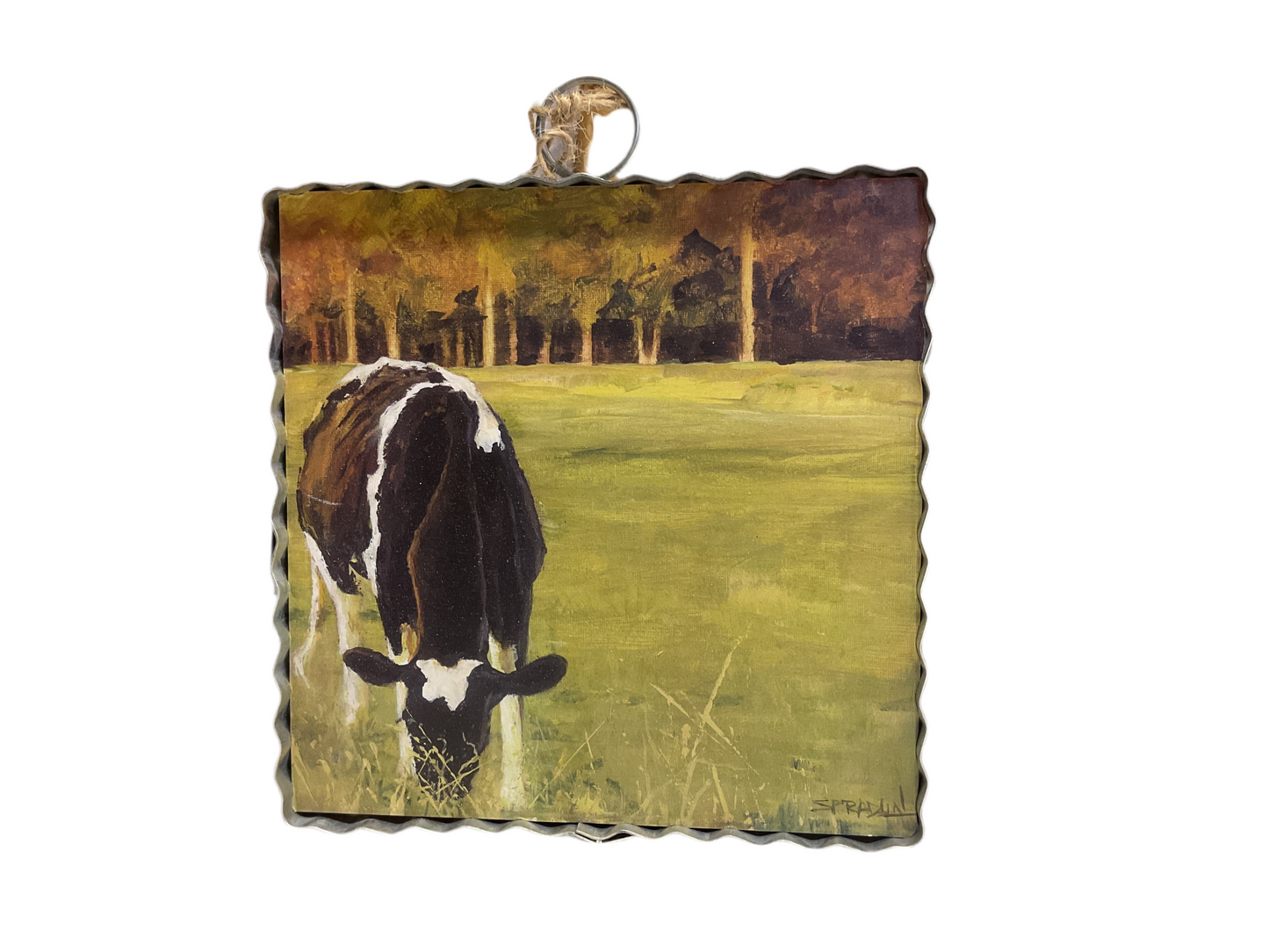 F24133 Grazing Cow