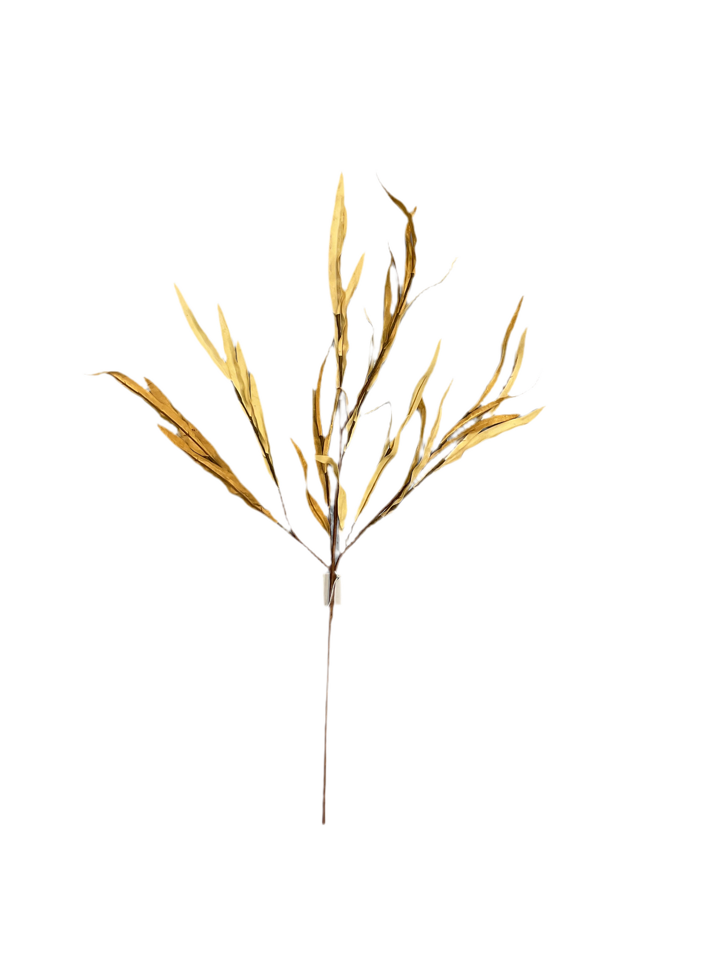 Golden Isles Bush
