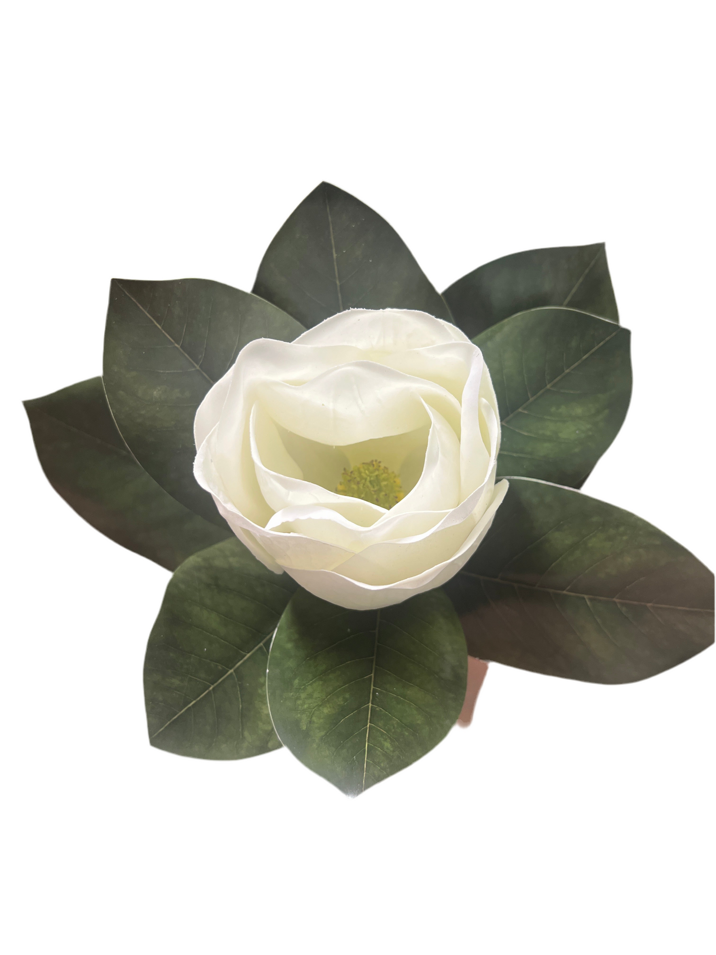 White magnolia stem 17”