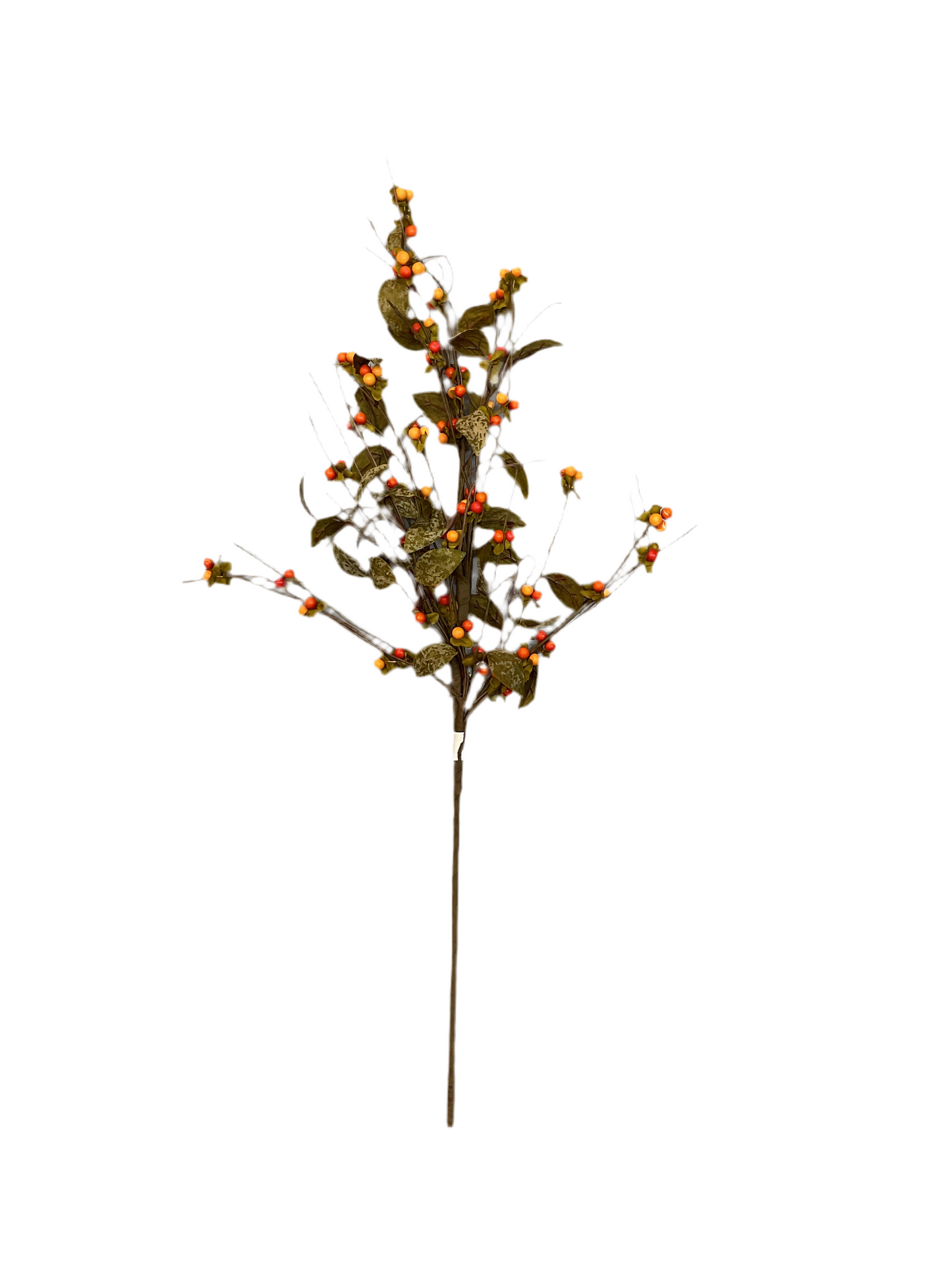 BitterSweet Stem
