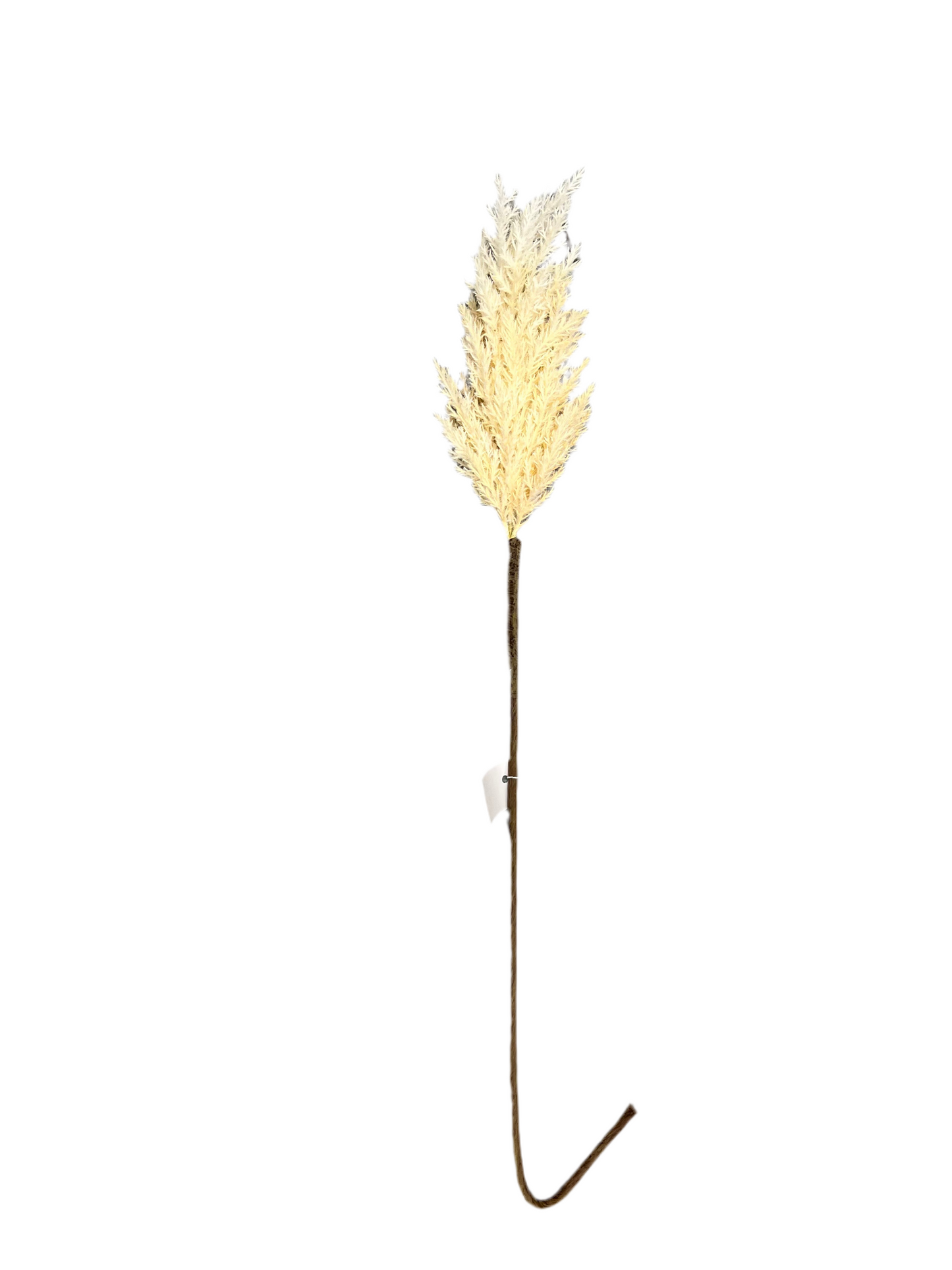 Dried astilbe stem