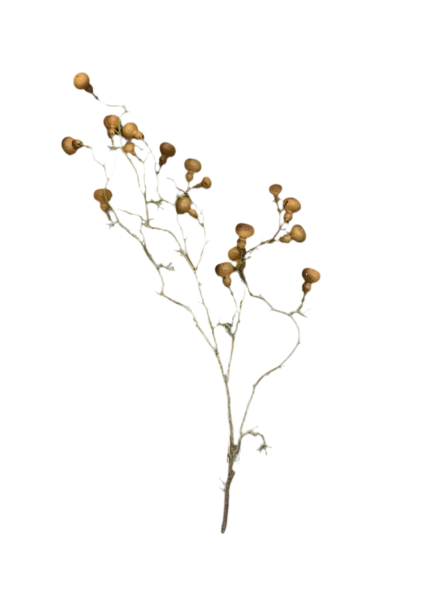 Gourd Spray Brown