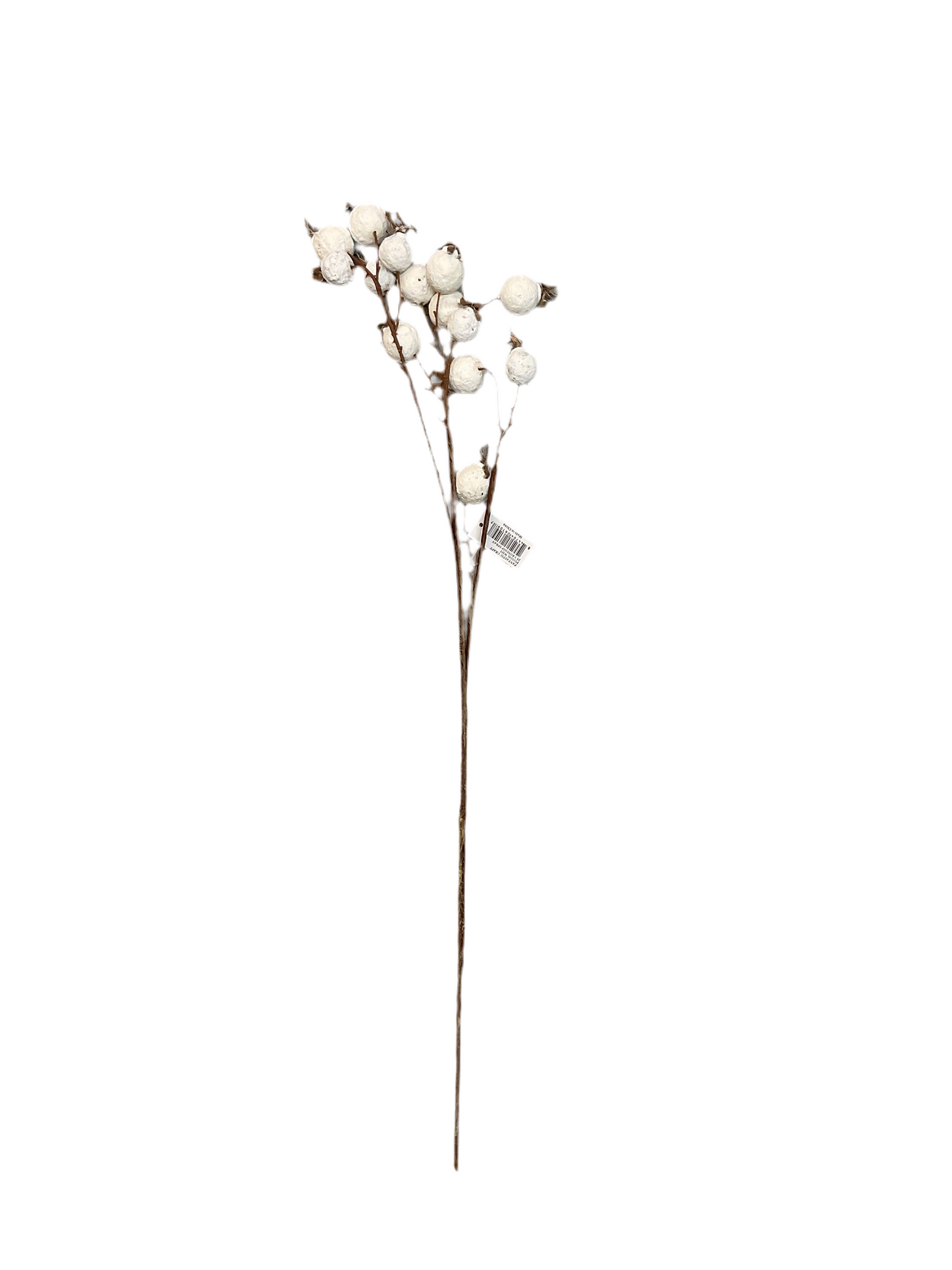 Rosehip Spray White