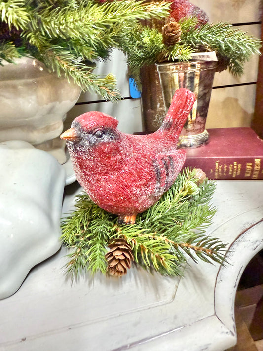 Lg Iced Cardinal
