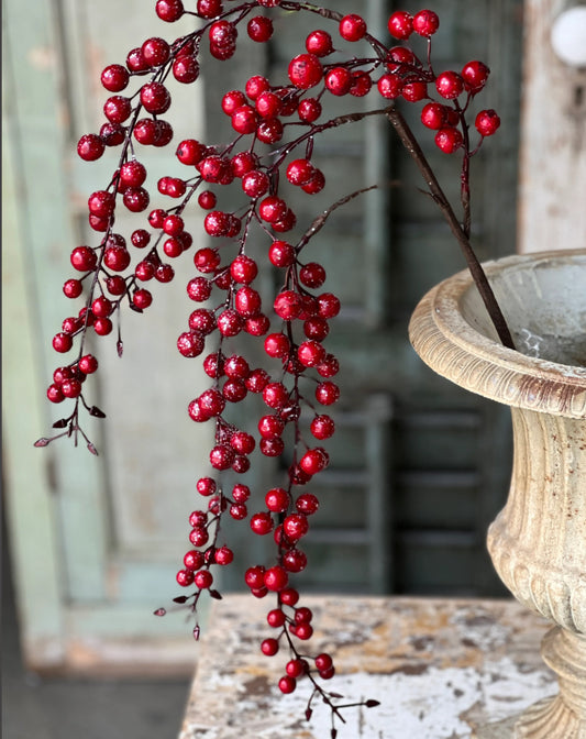 Iced hanging berry dark