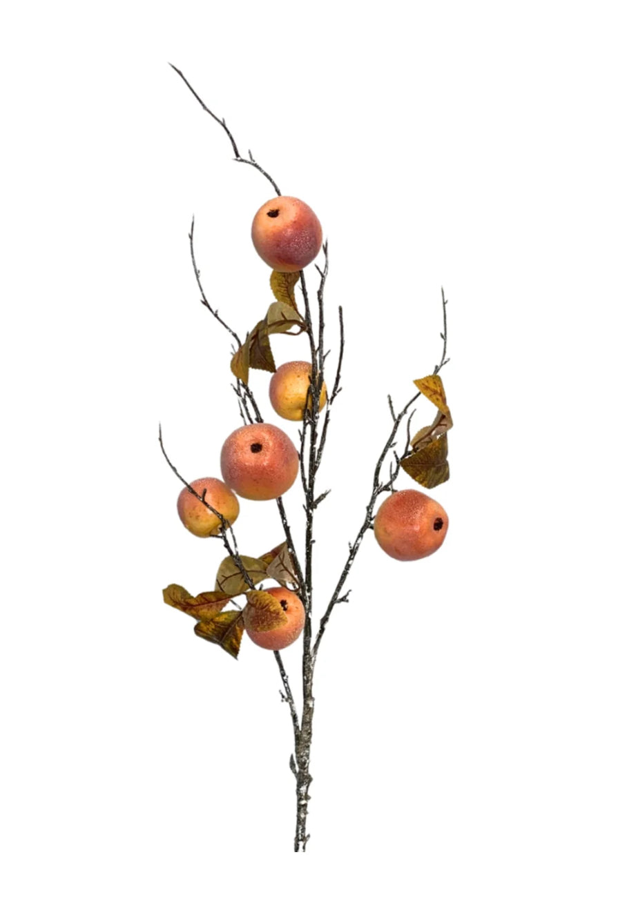 Apple Branch