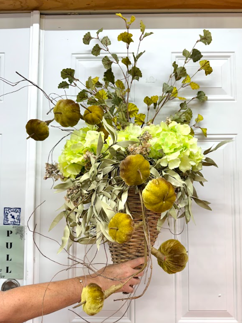 Cypress Hydrangea Bright Green