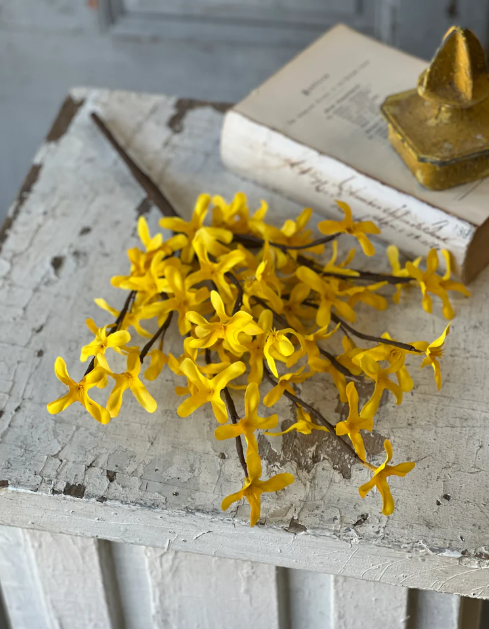Forsythia Spray 18"