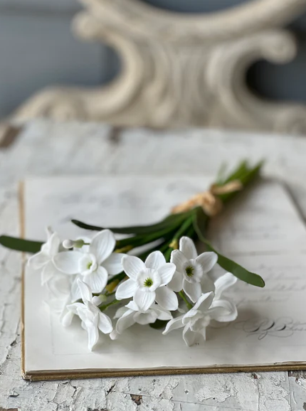 White Buttercup Bundle