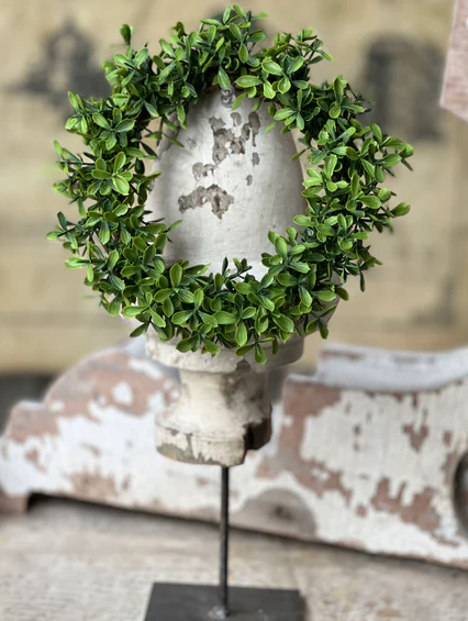 Lyric Boxwood CR 4.5"