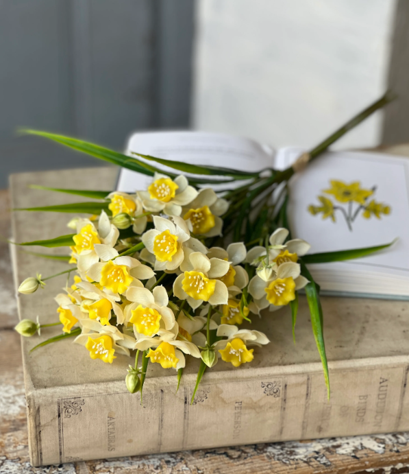 Daffodil Bundle 19.5"