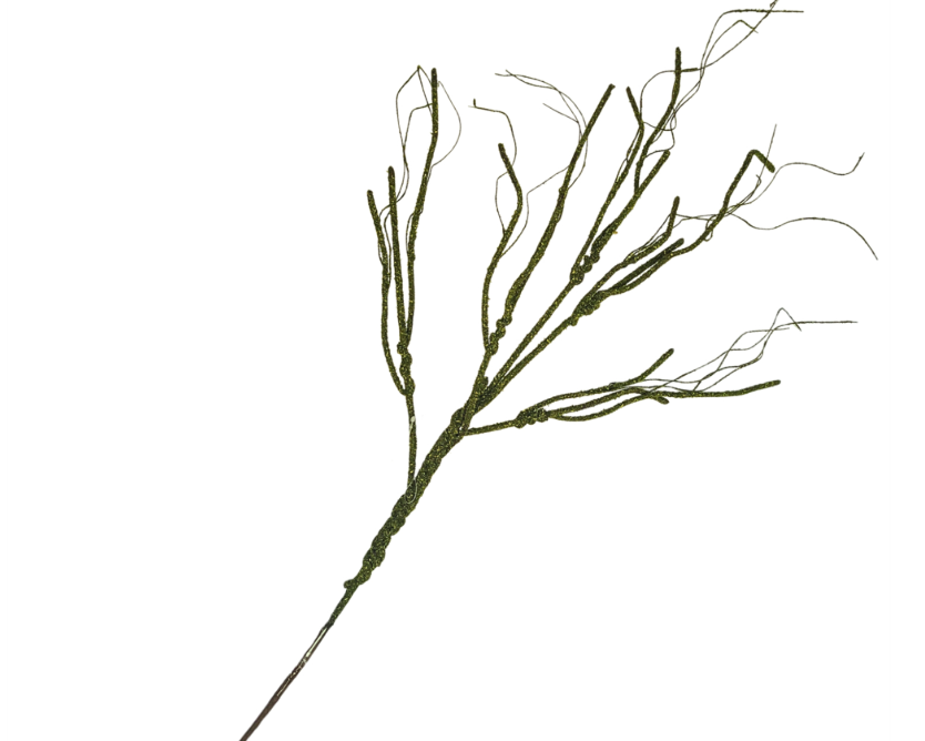 Moss Vine Branch 33"