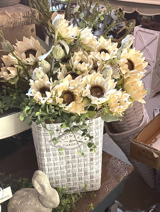 Sunflower Cream
