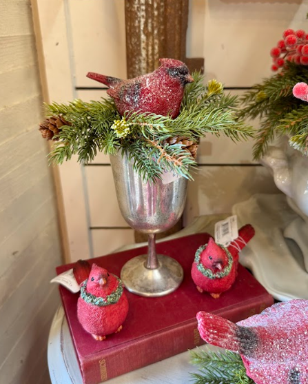 Sm Iced Cardinal