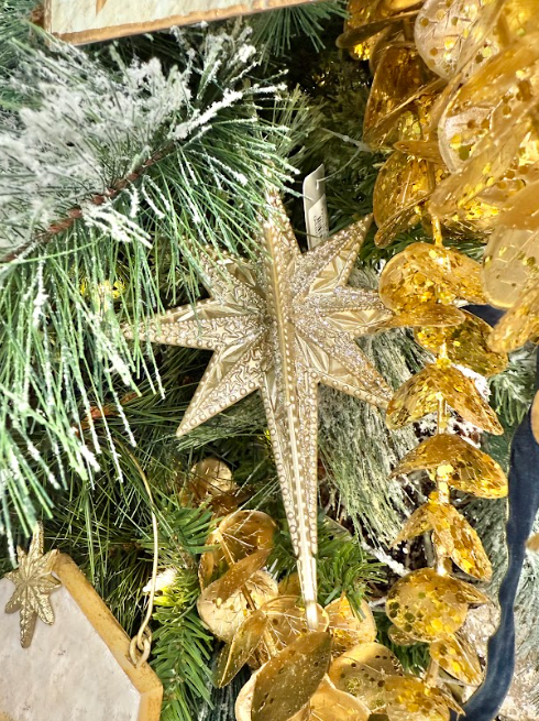 North Star Orn
