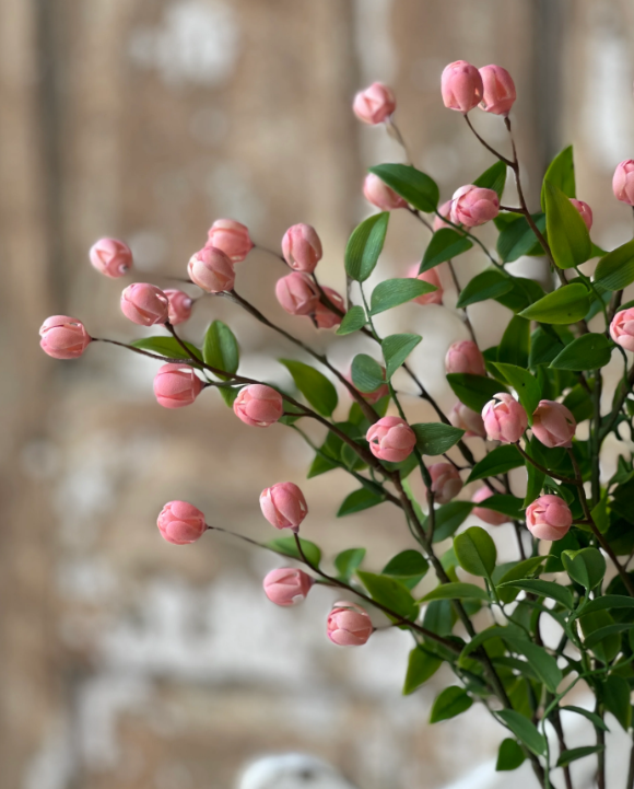 Billows Bush Pink 15.5”