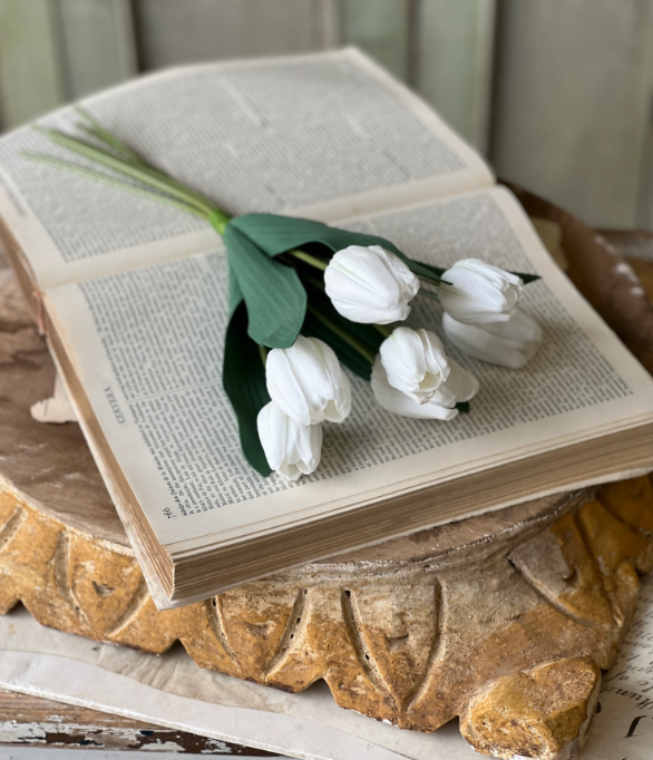 Triumph tulip bundle