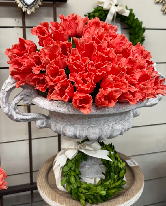 Parrot Tulip