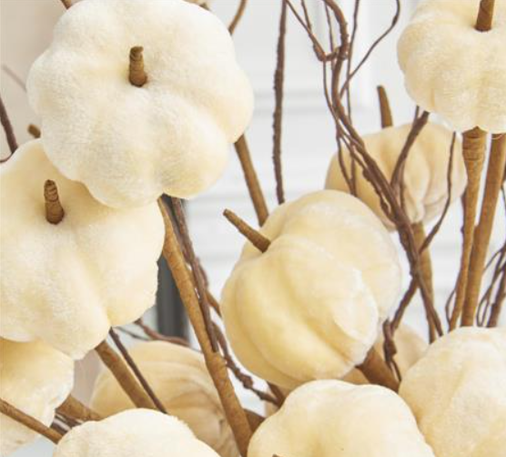 Cream Velvet Pumpkin Stem