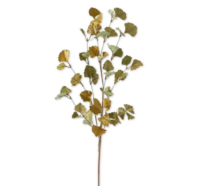 Ginkgo Leaf Stem