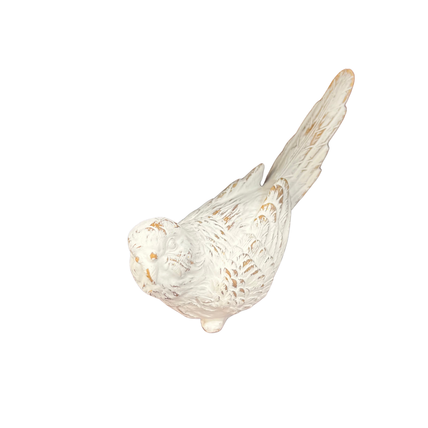 Whitewashed bird Tail Up