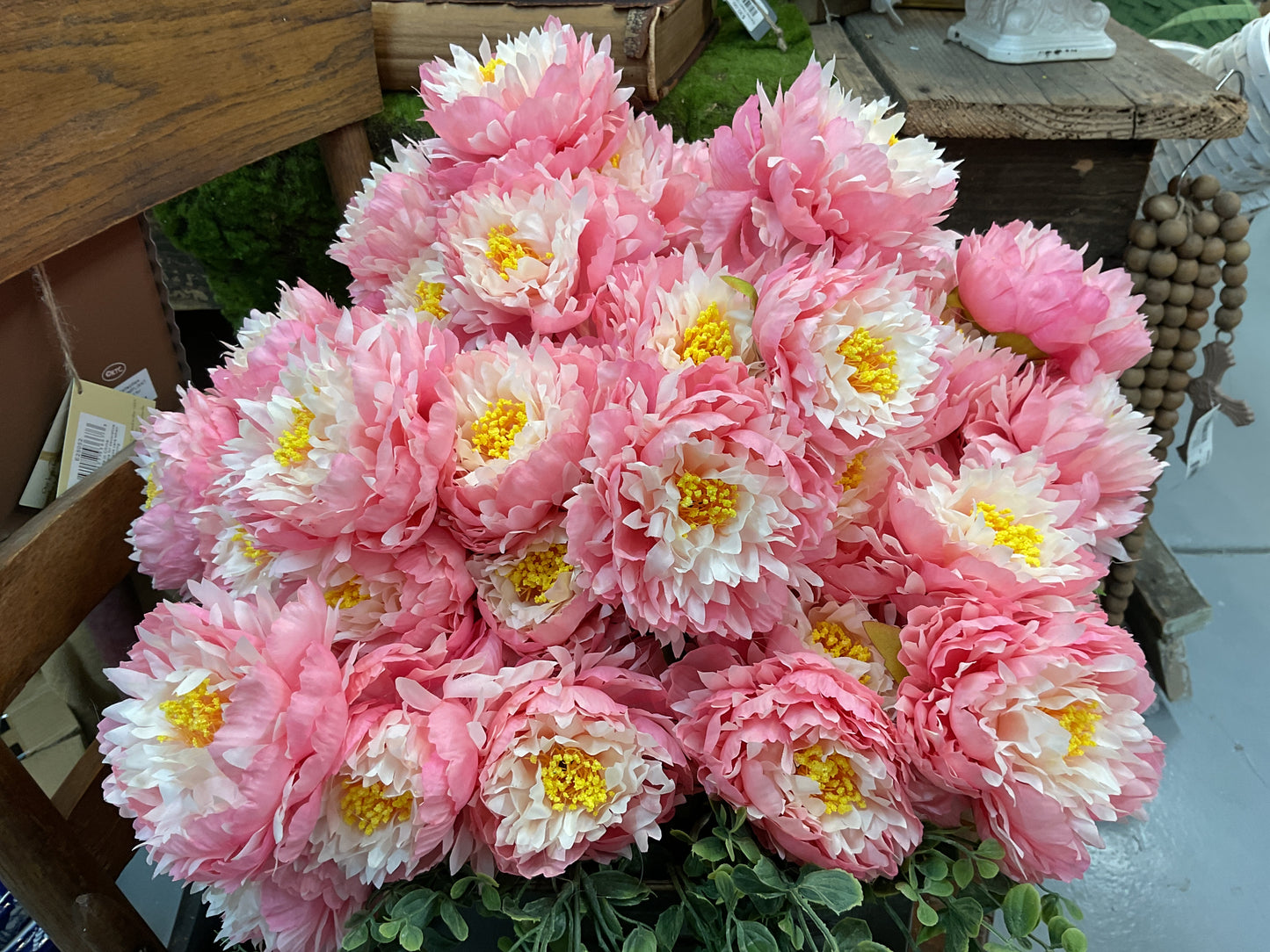 Moutan Peony Bush Light Pink