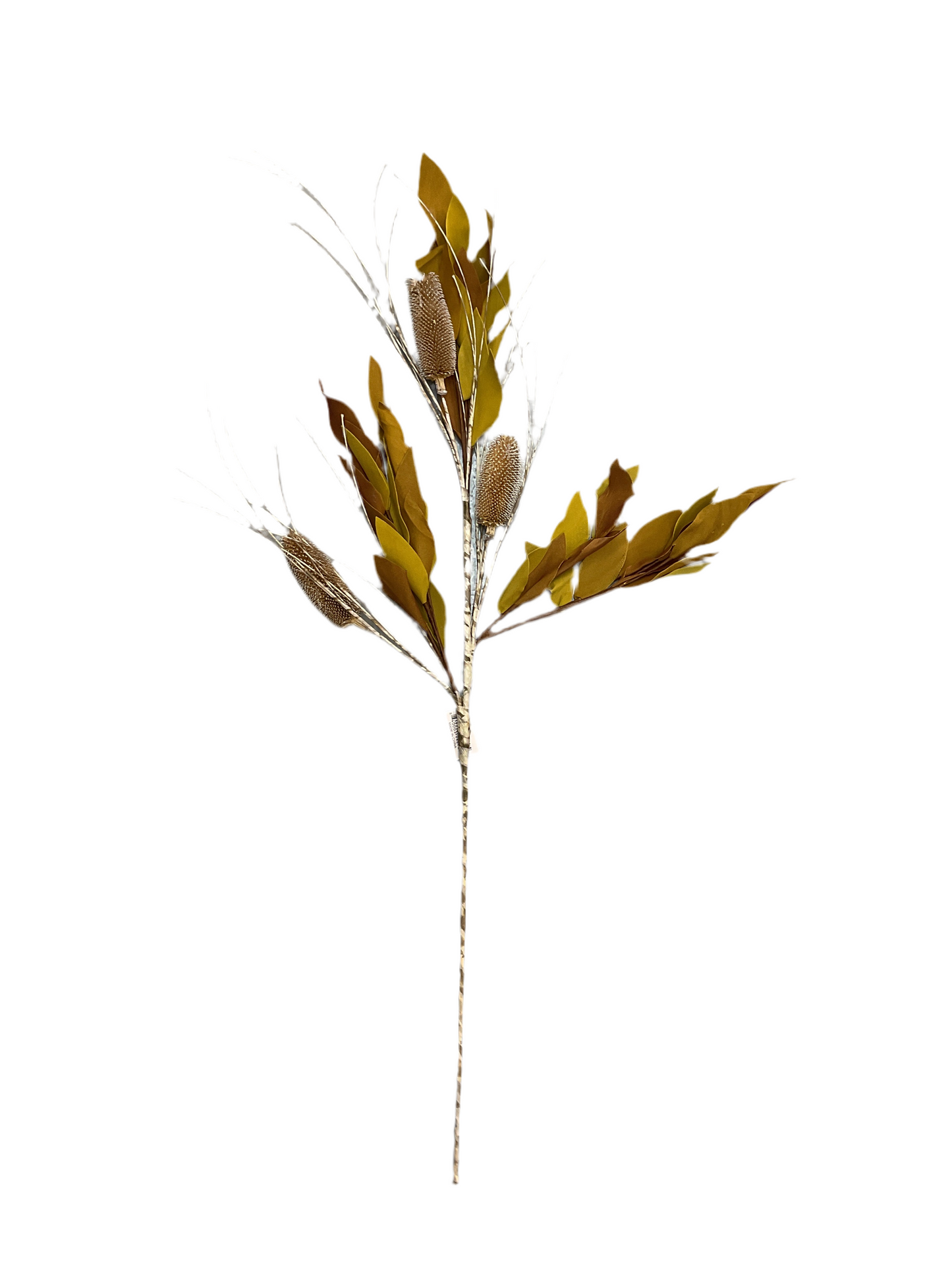 Thistle Stem