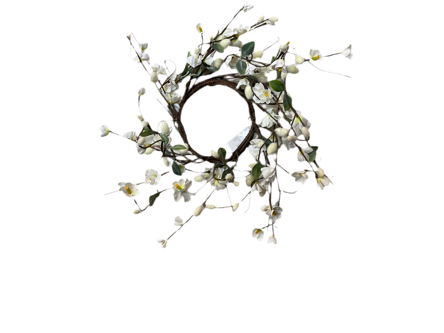 White blooms CR 4.5”