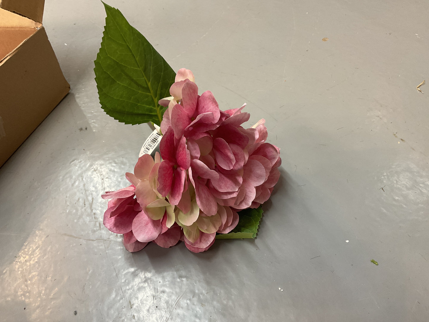 Sanibel hydrangea pick