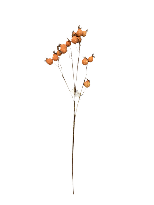 Rosehip Spray Orange