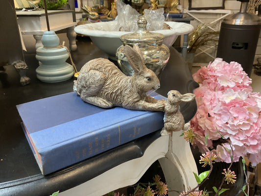 Rabbit with bunny hanging