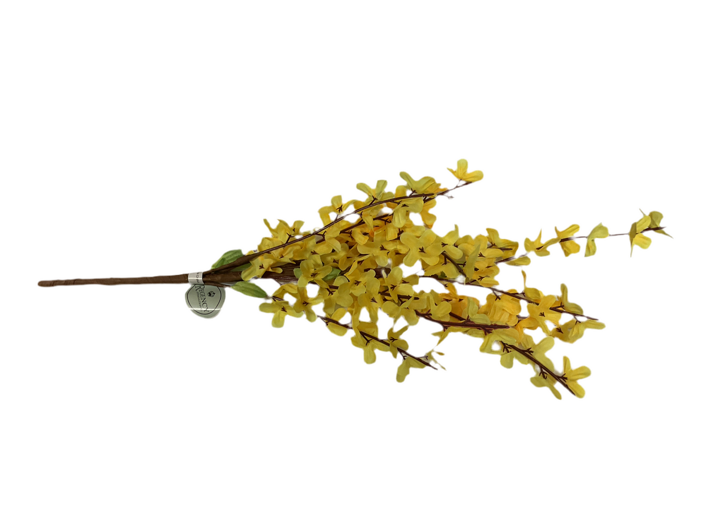 16” Wild Forsythia Spray