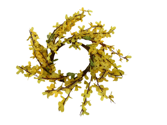 14” wild Forsythia wr 4.5”