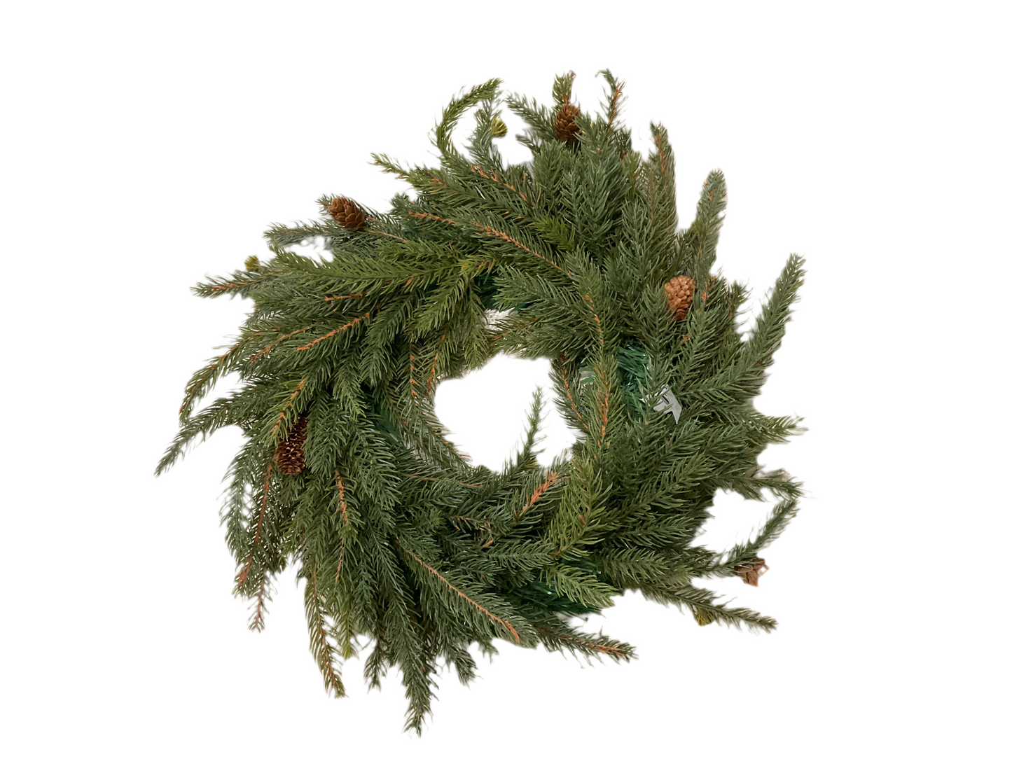 White Spruce WR