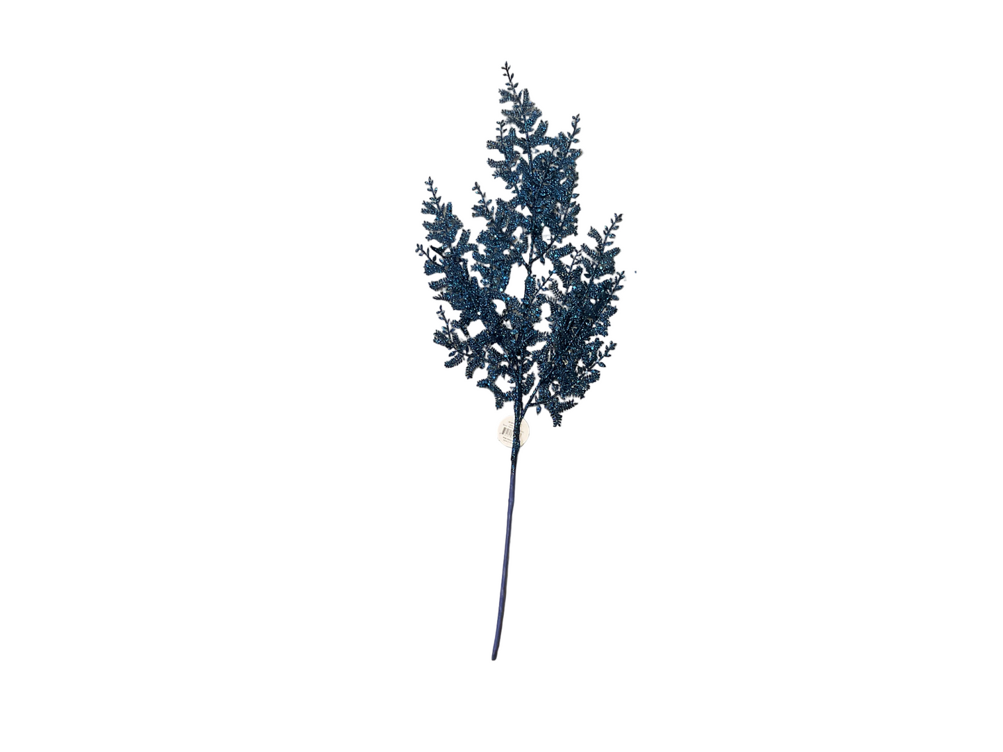 Blue fern stem