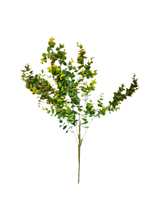 Eucalyptus Fall Spray