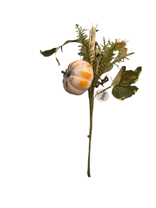 Small pumpkin stem with green leaves on a white surface