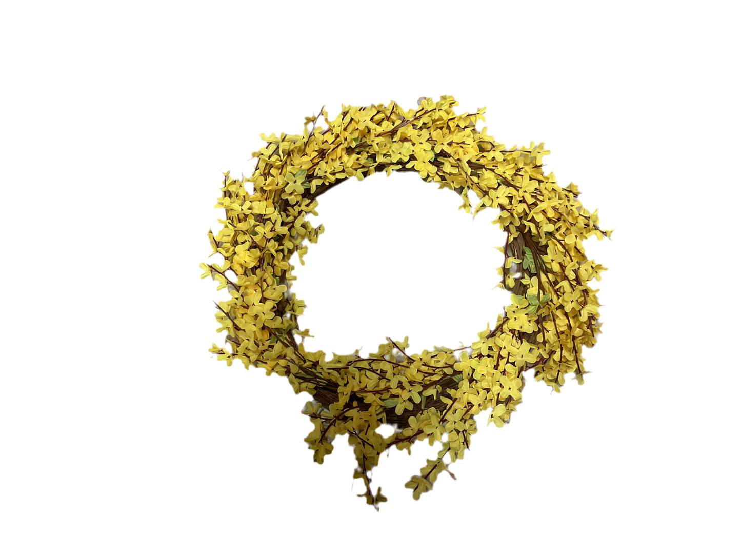 22” Wild Forsythia WR L