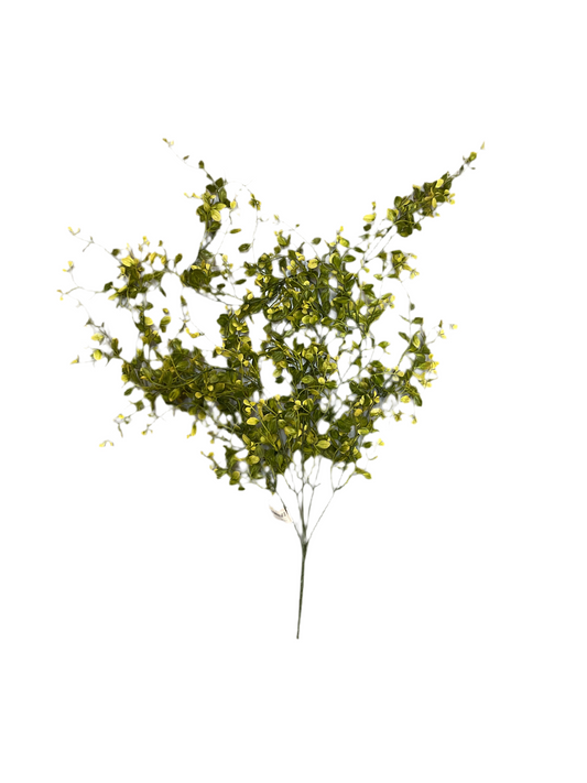 Pimpernel Hanging Fall Green