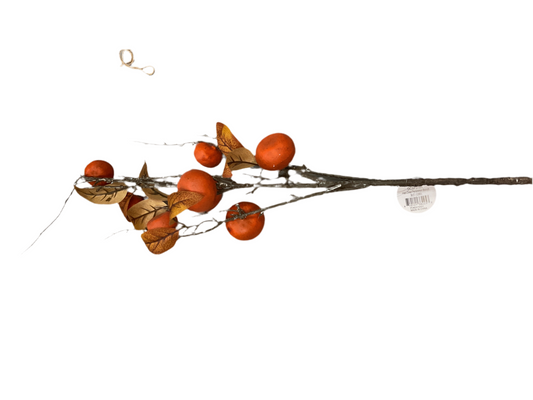 Persimmon Branch