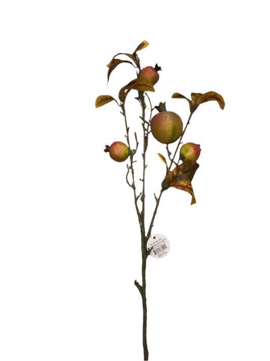 Pomegranate Branch