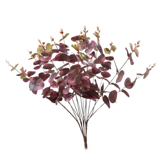Burgundy Euc Bush