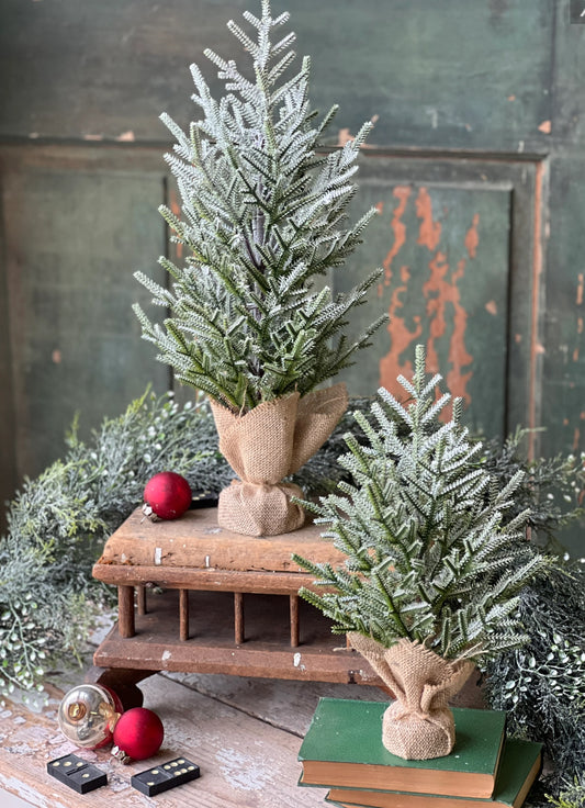 Frostbite Pine Tree