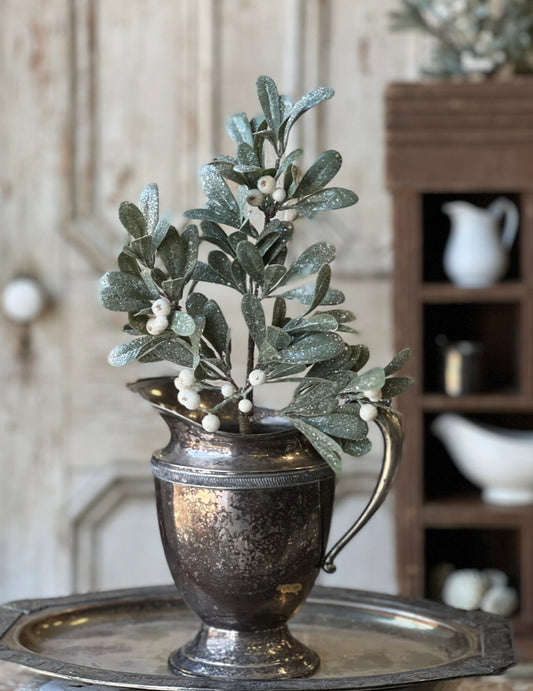 Iced Mistletoe stem 16”