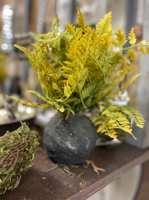 Fern Ball